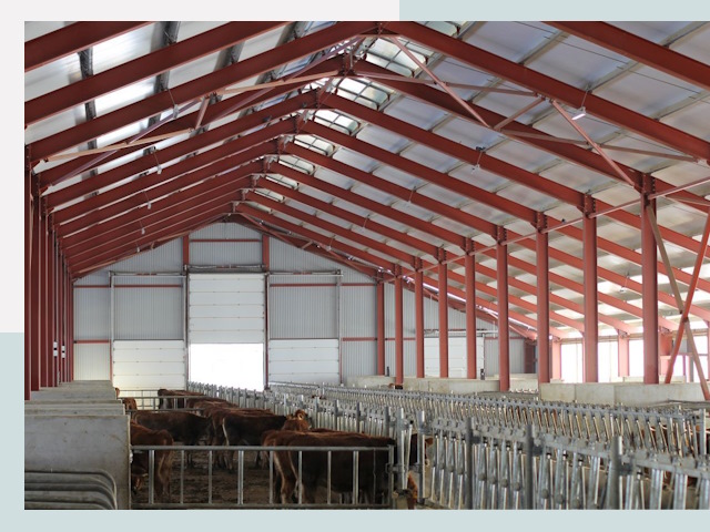 Строительство коровников в Кунгуре