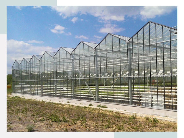 Строительство теплиц в Кунгур от 615 руб. за м²