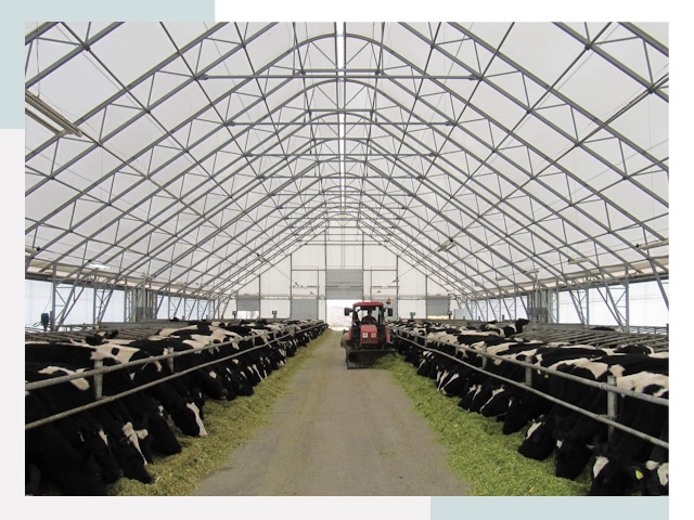 Тентовые коровники в Кунгуре от 615 руб. - Надежно и доступно